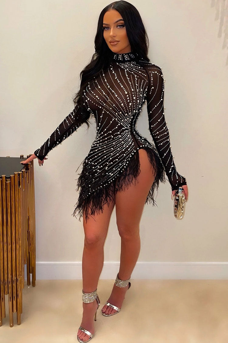 Sheer mesh bodycon 2024 dress
