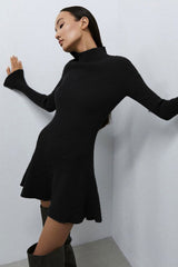 Chic High Neck Flared Long Sleeve Rib Knit Winter Sweater Mini Dress - Black