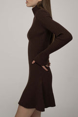 Chic High Neck Flared Long Sleeve Rib Knit Winter Sweater Mini Dress - Coffee