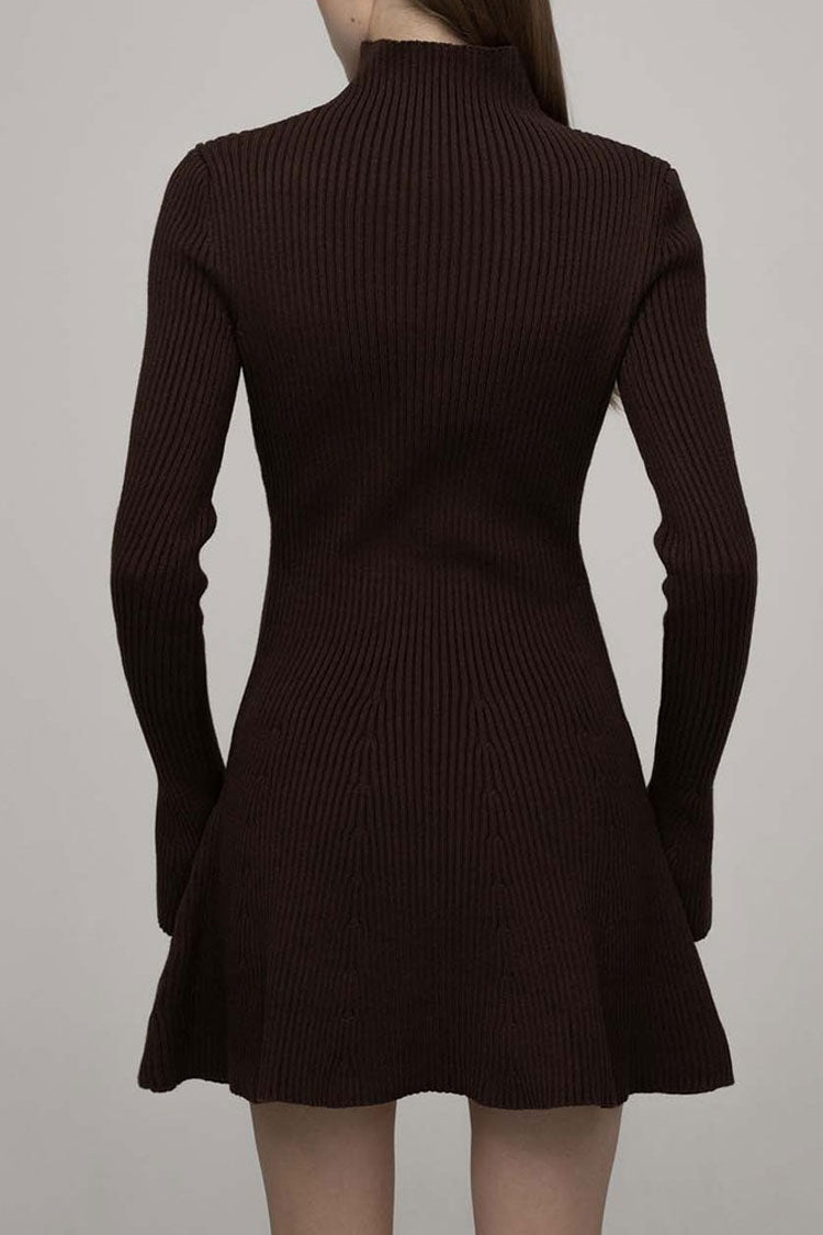 Chic High Neck Flared Long Sleeve Rib Knit Winter Sweater Mini Dress - Coffee