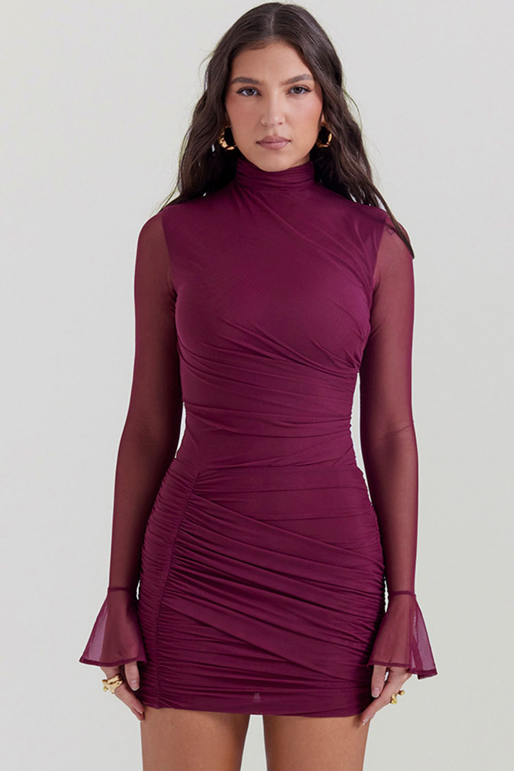 Sexy High Neck Sheer Mesh Long Sleeve Ruched Bodycon Party Mini Dress - Burgundy