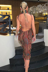 Sexy Ruffle Fringe Sheer Mesh Split Cutout Bodycon Backless Club Midi Dress