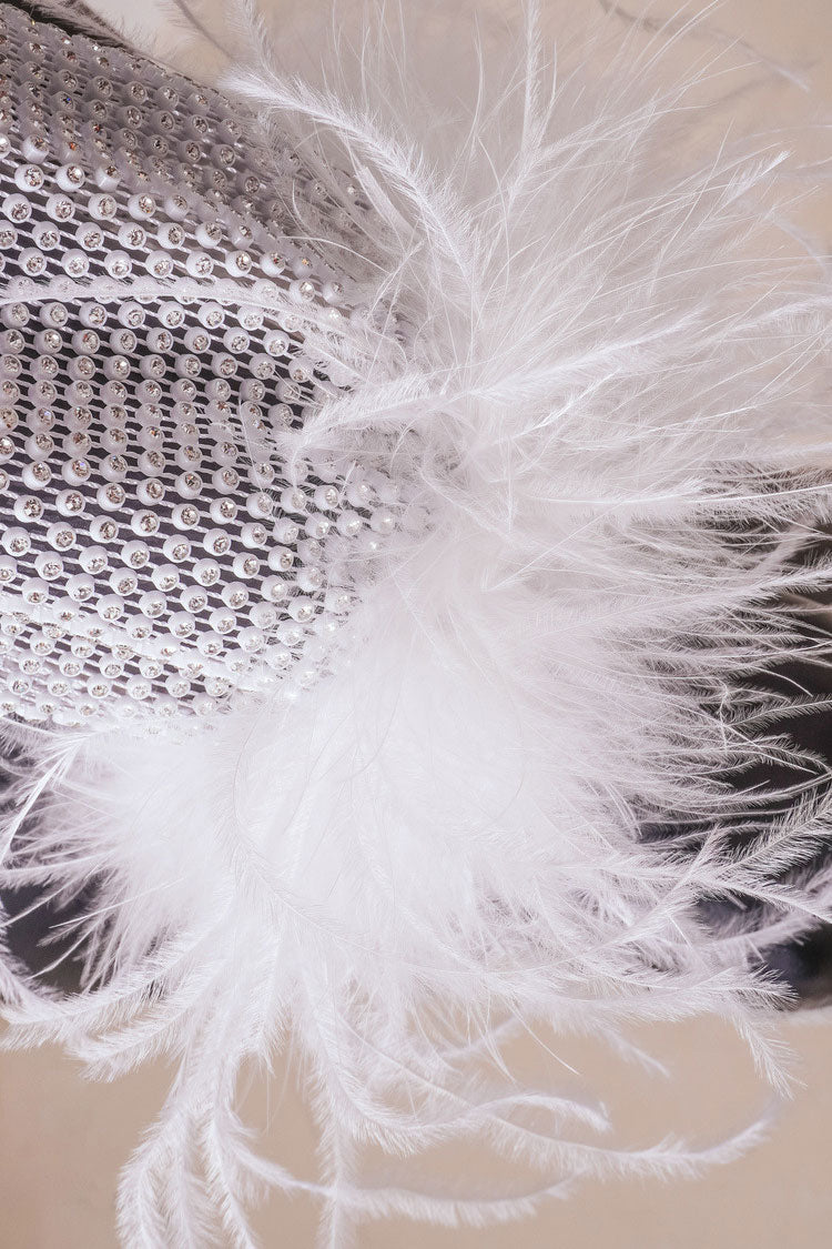Sparkly Rhinestone Fishnet Feather Sleeve Long Sleeve Sheer Mini Dress - White