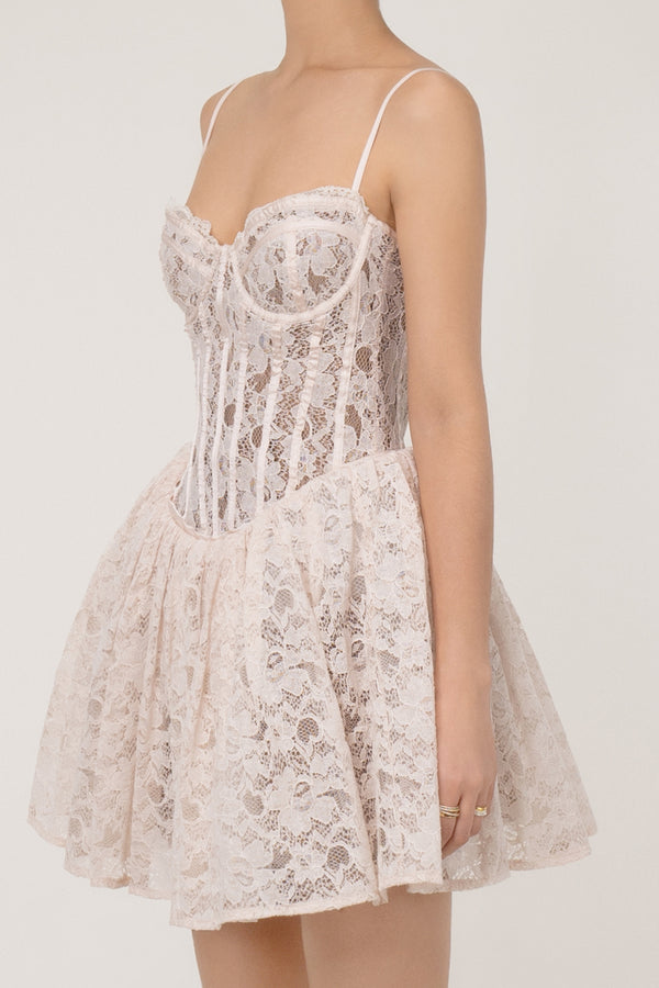 Vintage Bustier Corset Drop Waist Tulle Layer Lace Slip Party Mini Dress