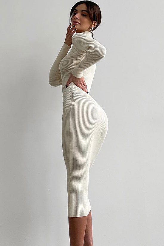 Chic High Neck Long Sleeve Bodycon Rib Knit Sweater Midi Dress - White