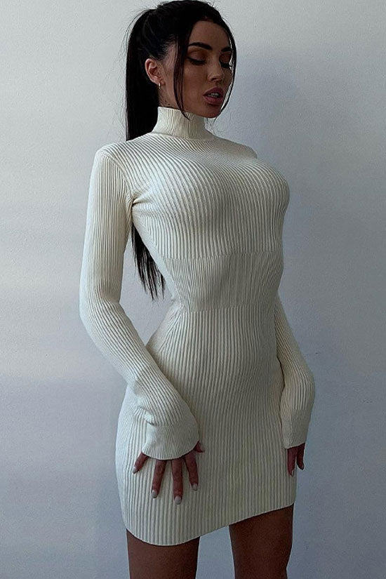 Chic High Neck Long Sleeve Bodycon Rib Knit Sweater Mini Dress - White