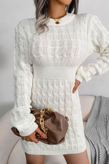 Cozy Winter Fisherman Cable Knit Bodycon Sweater Mini Dress - White